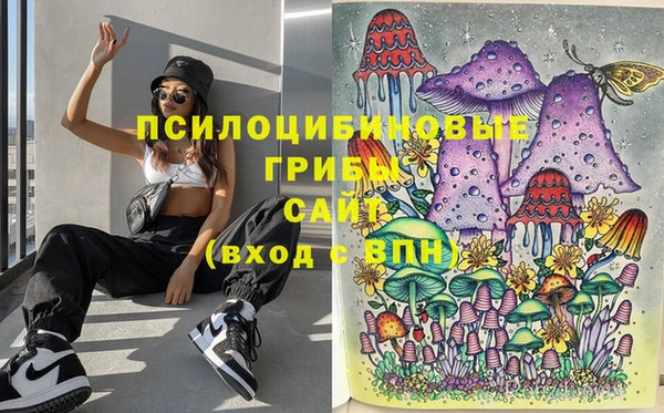 Альфа ПВП Покровск