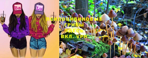 mdpv Покачи