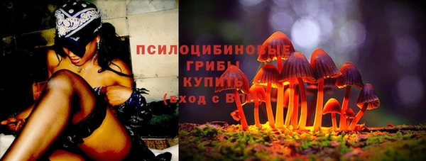 Альфа ПВП Покровск